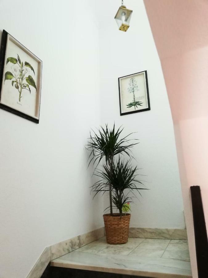 Arronches Villa Zewnętrze zdjęcie