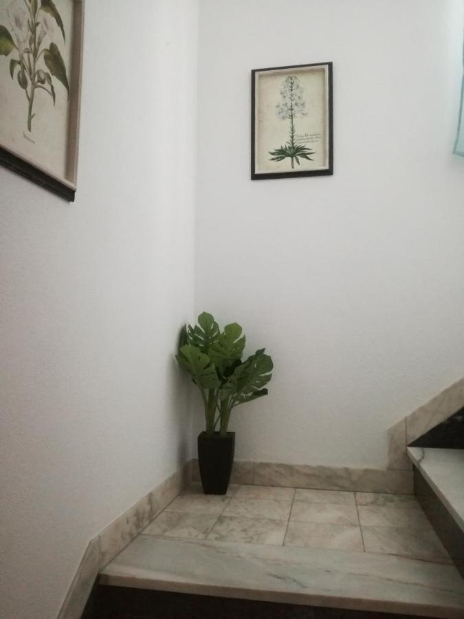 Arronches Villa Zewnętrze zdjęcie